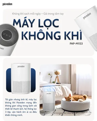 Lõi lọc không khí Paveden PAP-RFM1133