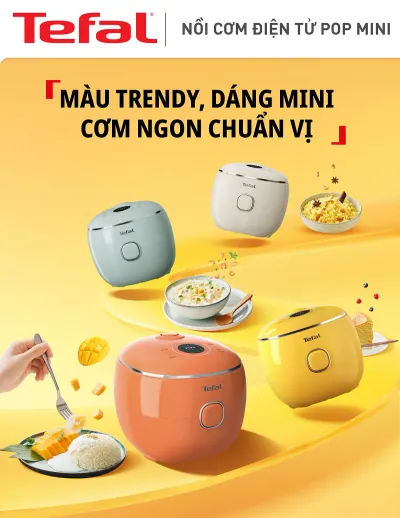 Nồi cơm điện tử mini Tefal RK535TY0 - 0.7L Cam Đất