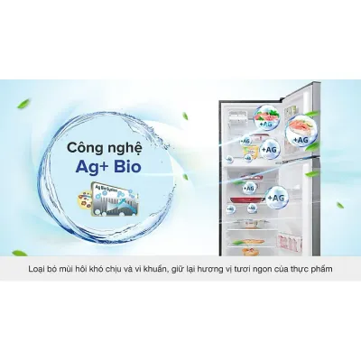Tủ Lạnh Toshiba Inverter 249 Lít GR-RT325WE-PMV(06)-MG